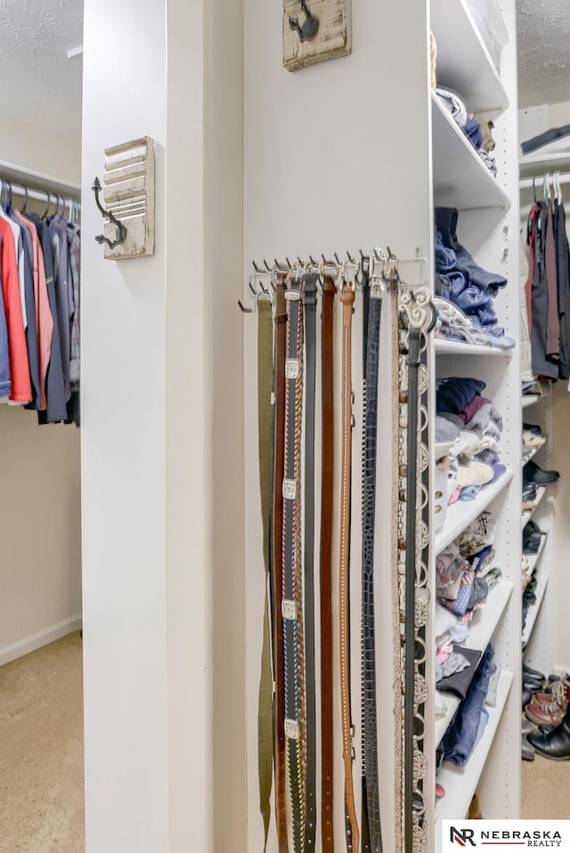 walk in closet with carpet flooring