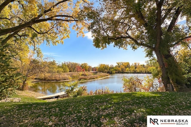 property view of water