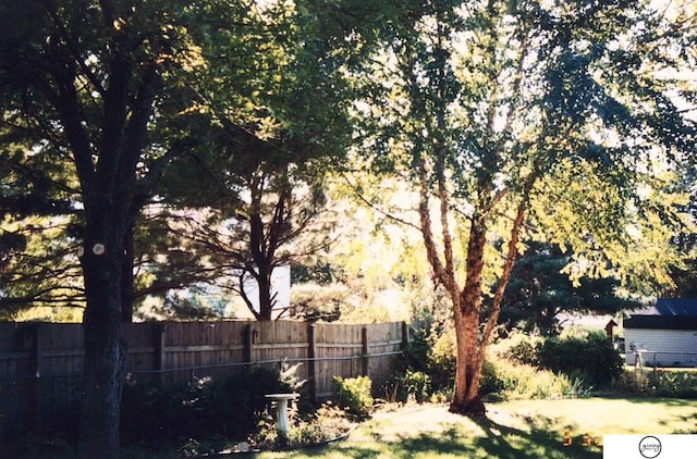 view of yard