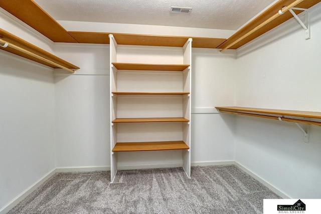 walk in closet with carpet flooring