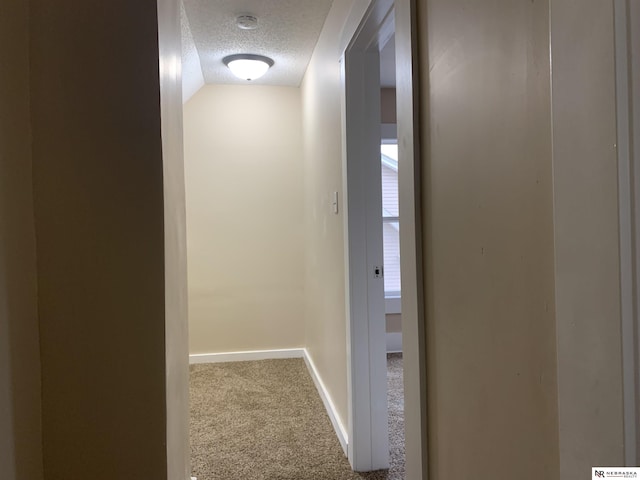 corridor featuring carpet flooring and a textured ceiling