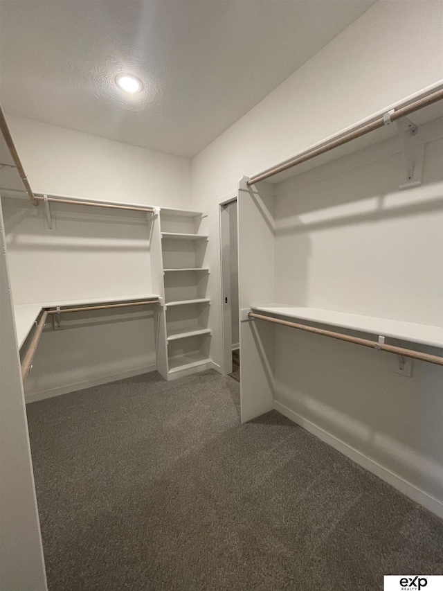 walk in closet featuring dark colored carpet