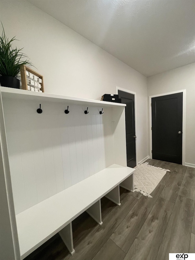 mudroom featuring dark hardwood / wood-style flooring