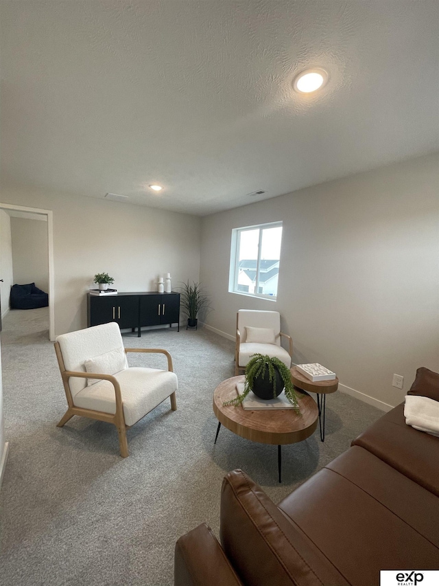 carpeted living room with a textured ceiling