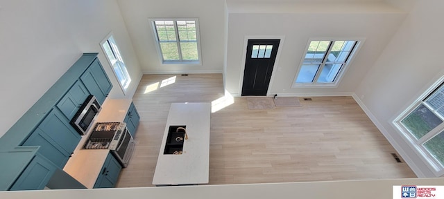 foyer with a healthy amount of sunlight and light wood-type flooring