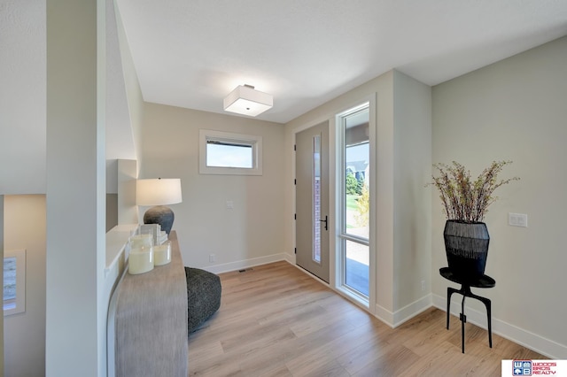 entryway with a healthy amount of sunlight and light wood-type flooring