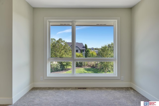 spare room with light carpet