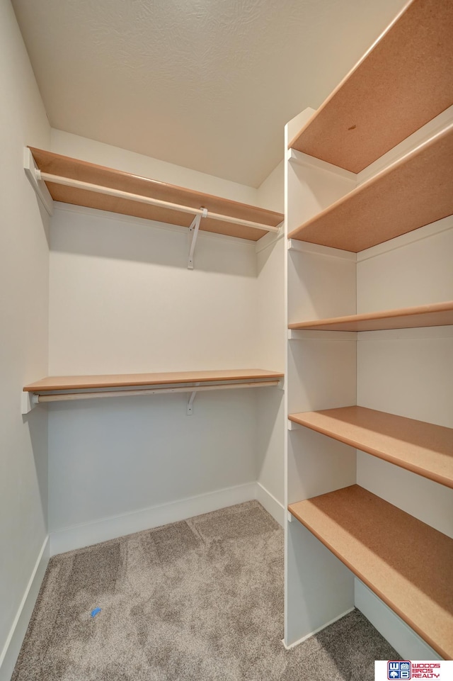 walk in closet with carpet floors