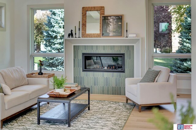 living room featuring wood finished floors and a glass covered fireplace