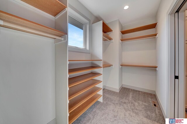 spacious closet with carpet flooring