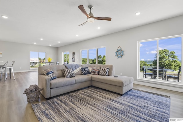 living room featuring ceiling fan and hardwood / wood-style floors