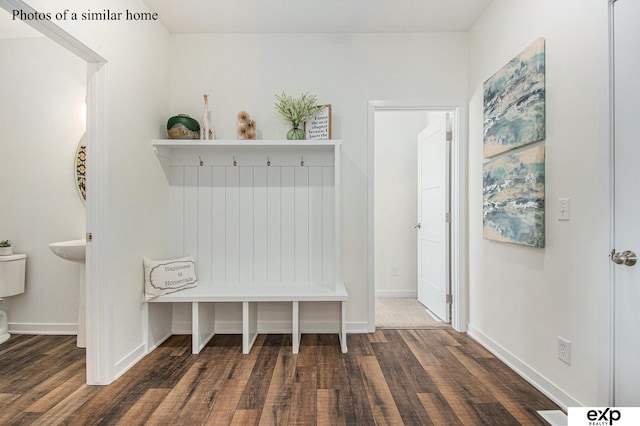 mudroom with dark wood-type flooring