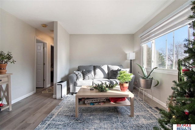 living room featuring hardwood / wood-style floors