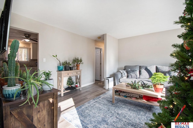 living room with hardwood / wood-style flooring and ceiling fan