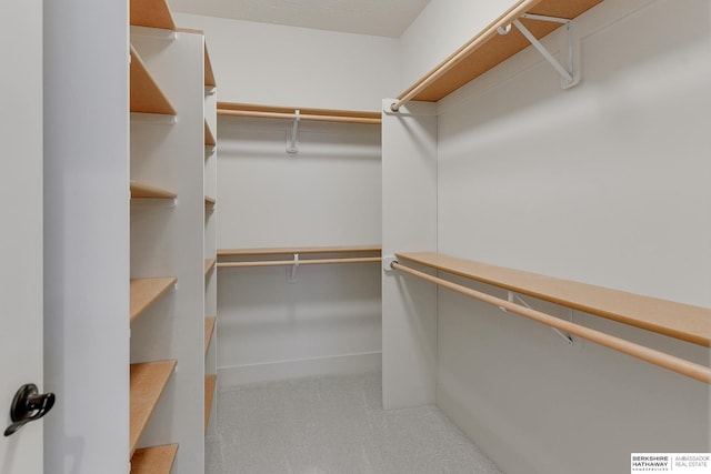 view of spacious closet