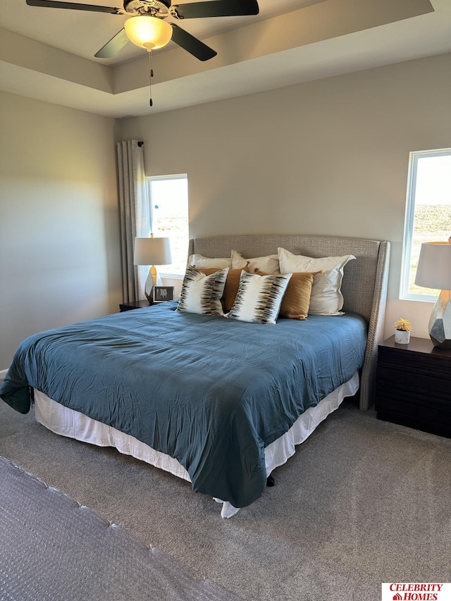 carpeted bedroom featuring a raised ceiling, ceiling fan, and multiple windows