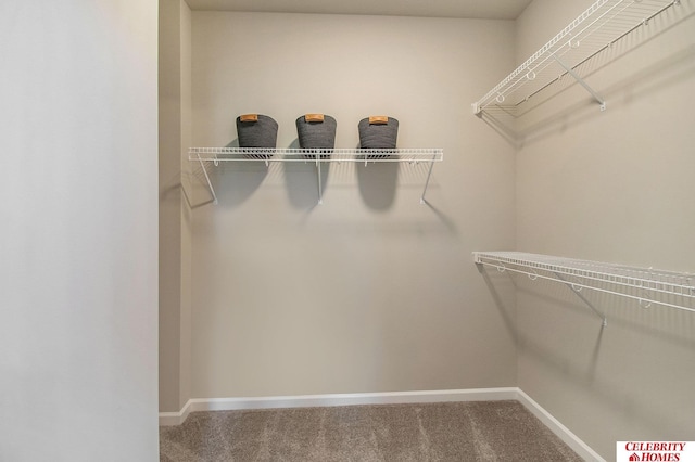 walk in closet with carpet floors