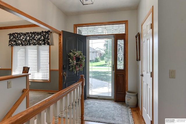 entrance foyer with a healthy amount of sunlight and light wood-type flooring