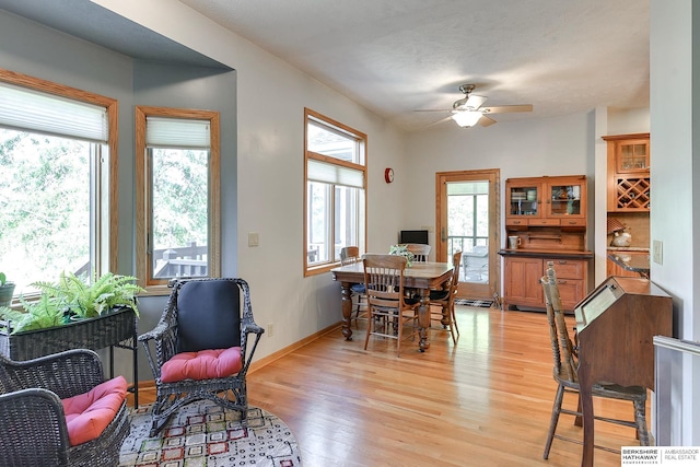 dining room with ceiling fan, a healthy amount of sunlight, and light wood-type flooring