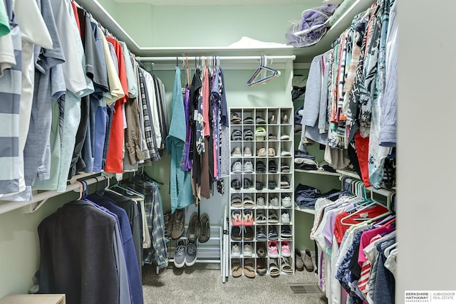 spacious closet featuring carpet flooring