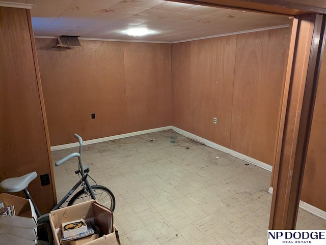 basement featuring wooden walls