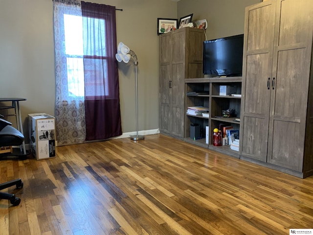 living room featuring hardwood / wood-style floors