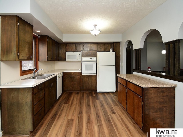 kitchen featuring dark wood-type flooring, dark brown cabinetry, sink, a textured ceiling, and white appliances