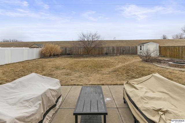 view of yard with a patio area and a storage shed