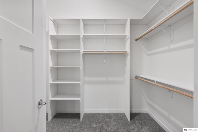 walk in closet with carpet floors