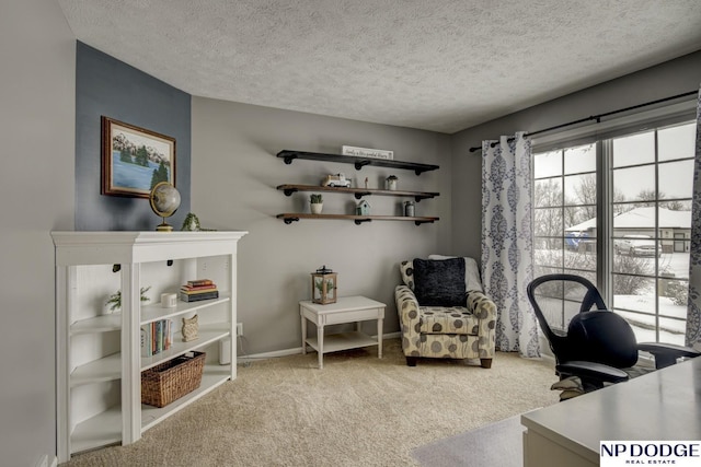 carpeted office space featuring a textured ceiling