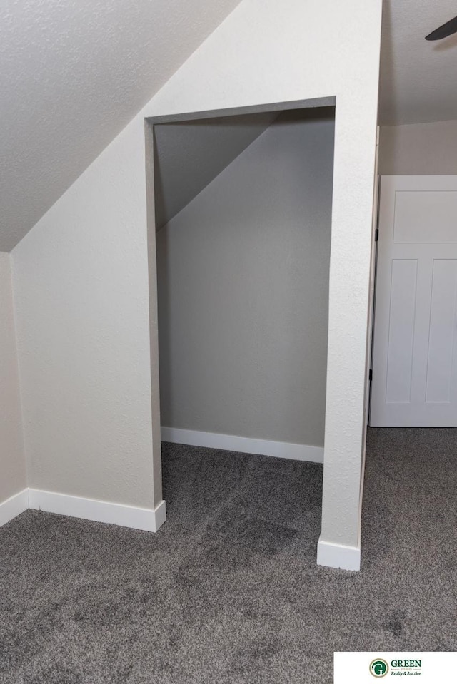 additional living space featuring vaulted ceiling, a textured ceiling, and dark carpet