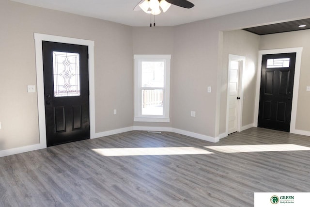 entrance foyer with ceiling fan, a healthy amount of sunlight, and wood-type flooring