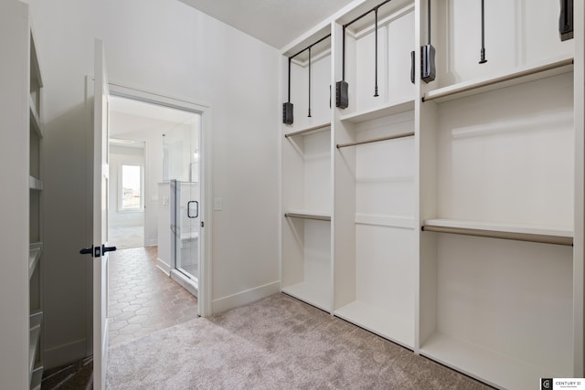 spacious closet featuring light colored carpet