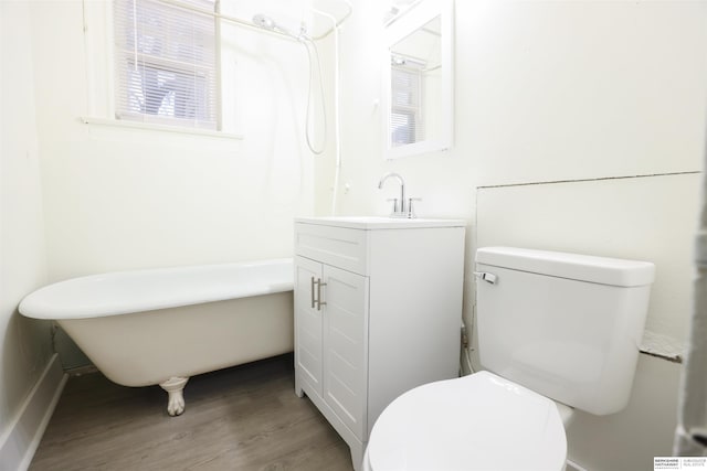 bathroom with vanity, hardwood / wood-style flooring, and toilet