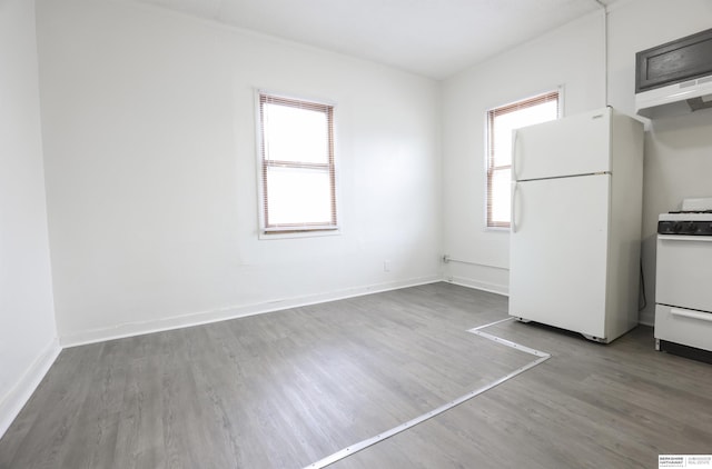 interior space featuring wood-type flooring and a wealth of natural light