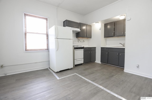 kitchen featuring hardwood / wood-style floors, sink, gray cabinetry, crown molding, and white appliances