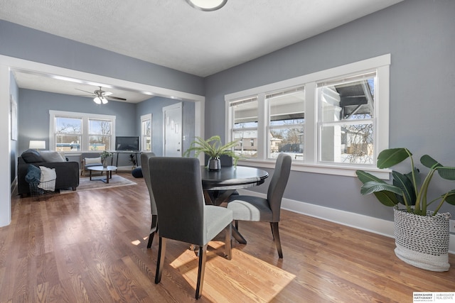 dining room with ceiling fan, hardwood / wood-style floors, and a textured ceiling