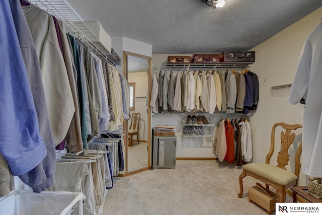 spacious closet with light carpet