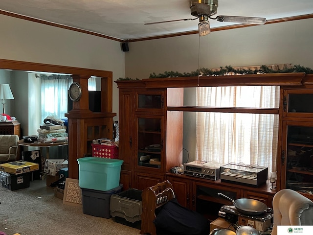 home office featuring crown molding, ceiling fan, and carpet