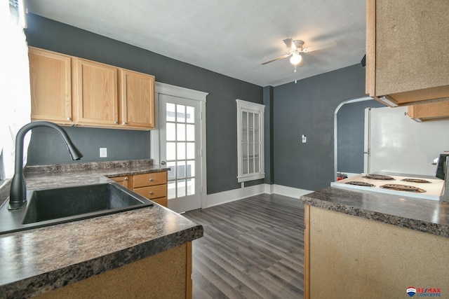 kitchen with ceiling fan, light brown cabinets, dark hardwood / wood-style flooring, white fridge, and sink