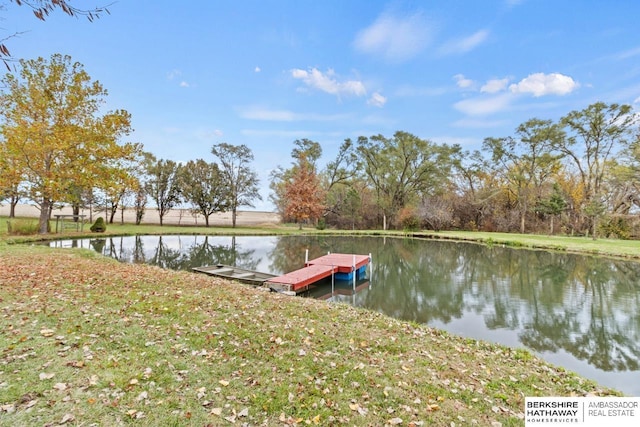 dock area featuring a water view