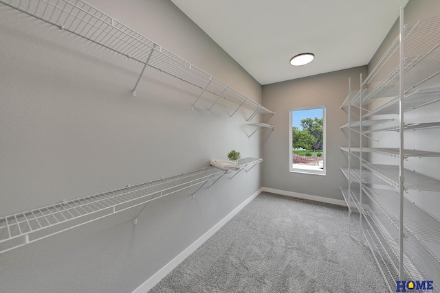 walk in closet featuring carpet floors