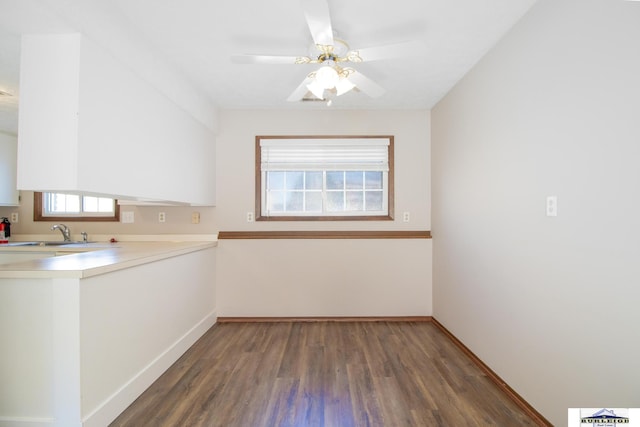 kitchen featuring ceiling fan, sink, and dark wood-type flooring
