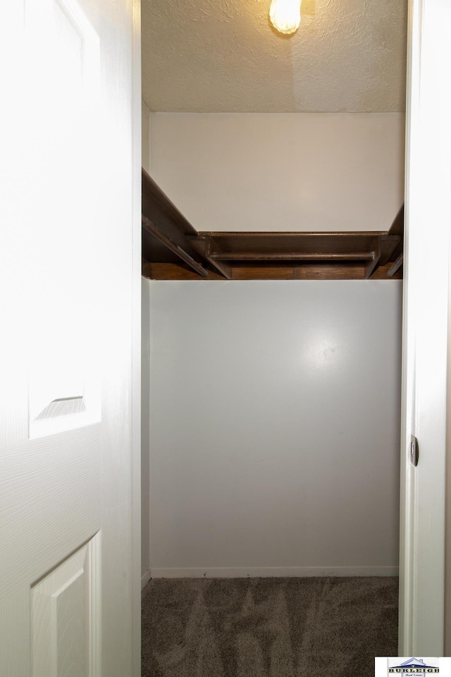 spacious closet with carpet floors