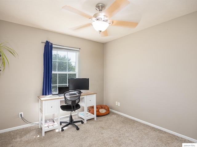 7112 S 177th St, Omaha, NE 68136 - office space with carpet floors and a ceiling fan