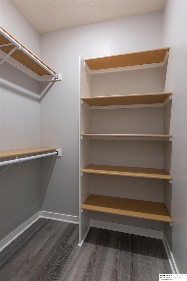 spacious closet with wood finished floors