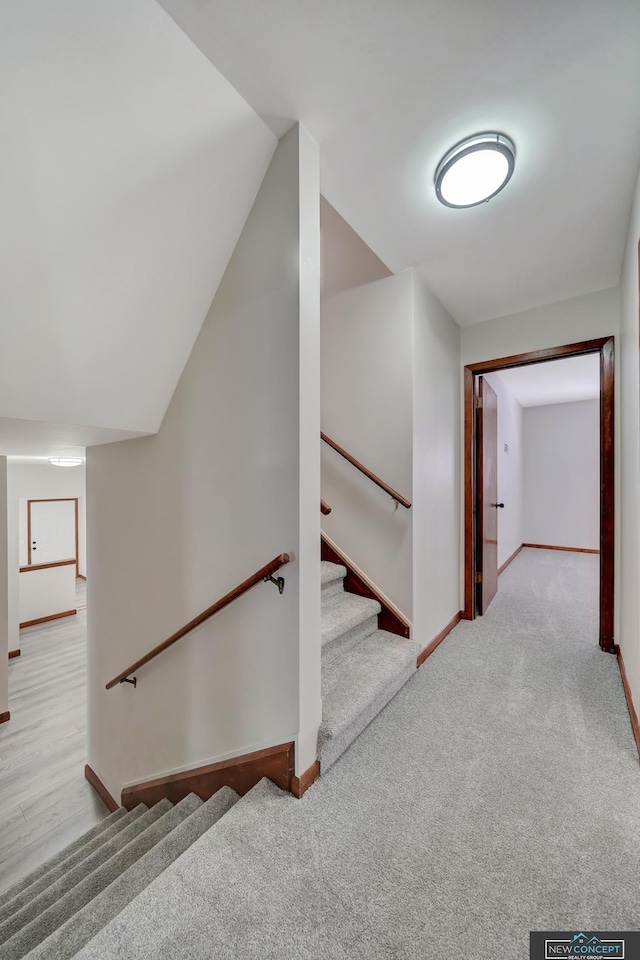 stairway featuring carpet and lofted ceiling