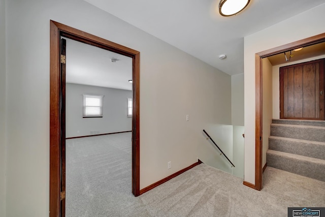 stairway with carpet floors