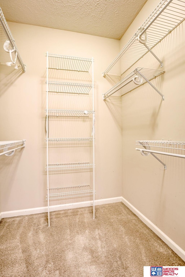 walk in closet featuring carpet floors