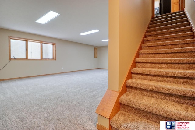 stairs featuring carpet floors